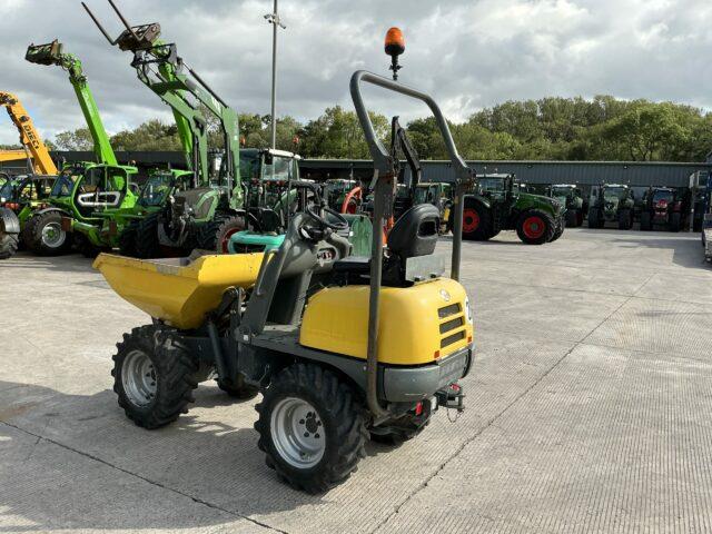 Wacker Neuson 1 Tonne Hi Tip Dumper (ST20932)