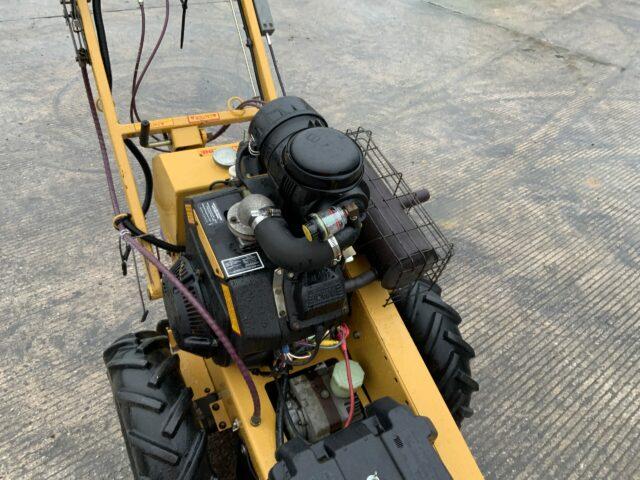 Mini Work Force Rayco Stump Grinder